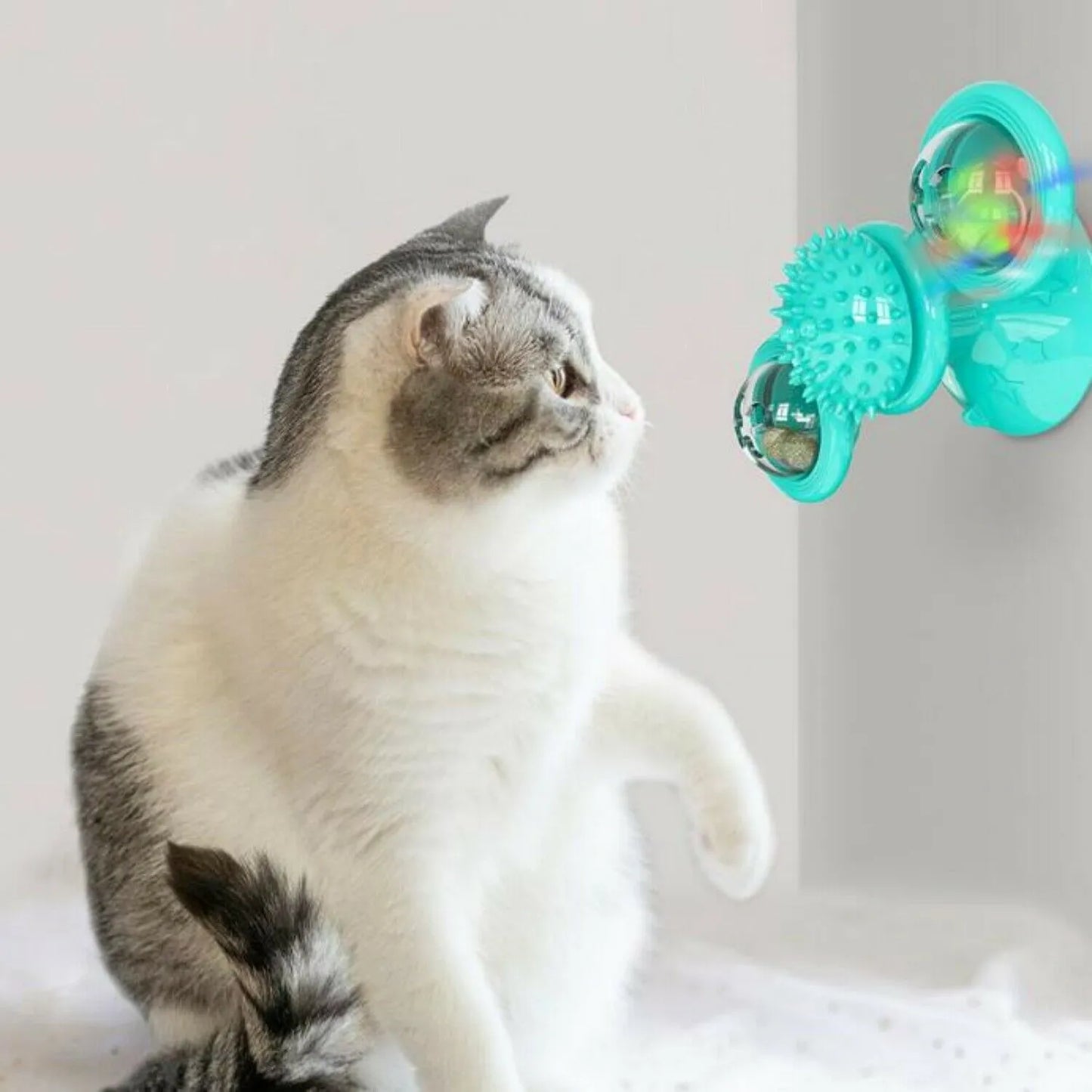 Rotating Windmill Cat Toy with Catnip and Suction Cup