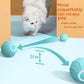 Smart Interactive Rolling Ball for Cats