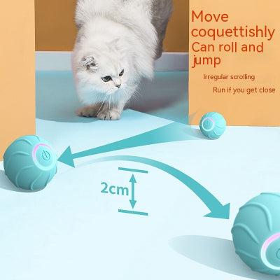 Smart Interactive Rolling Ball for Cats