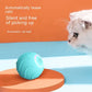 Smart Interactive Rolling Ball for Cats