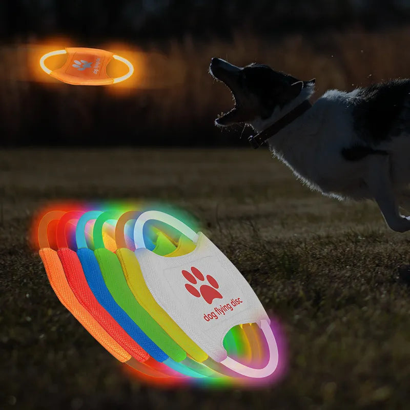 LED Glowing Flying Disc Dog Toy