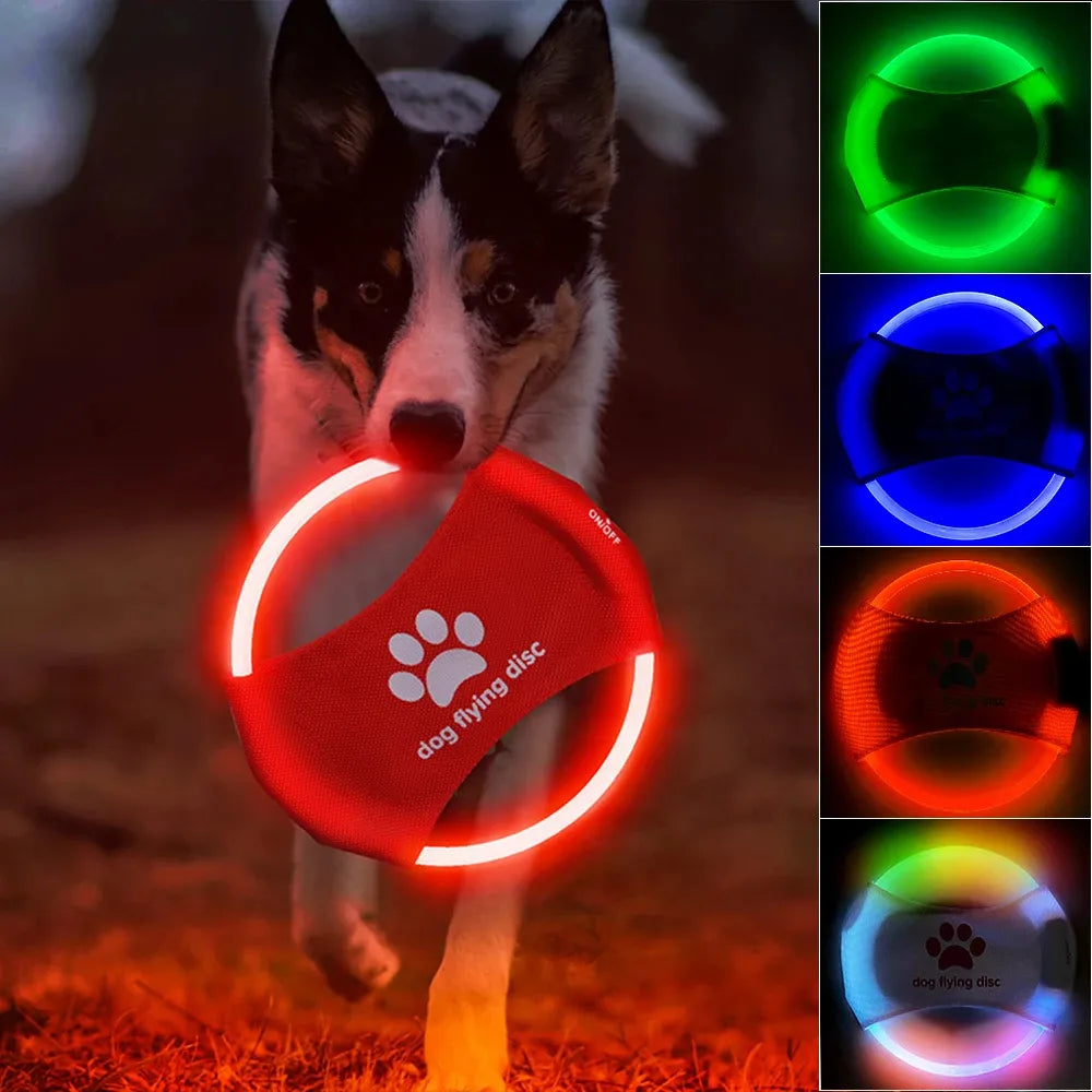 LED Glowing Flying Disc Dog Toy