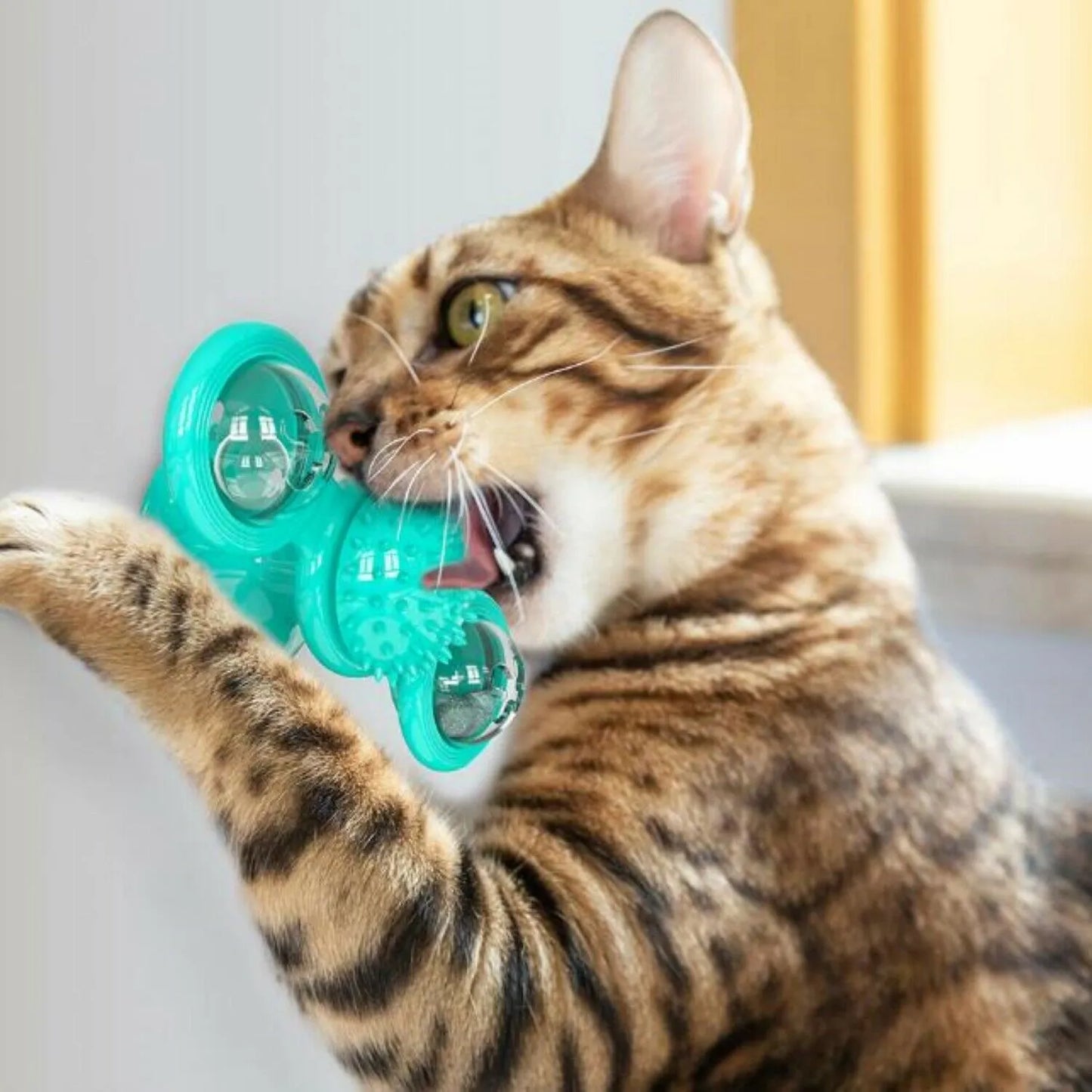 Rotating Windmill Cat Toy with Catnip and Suction Cup