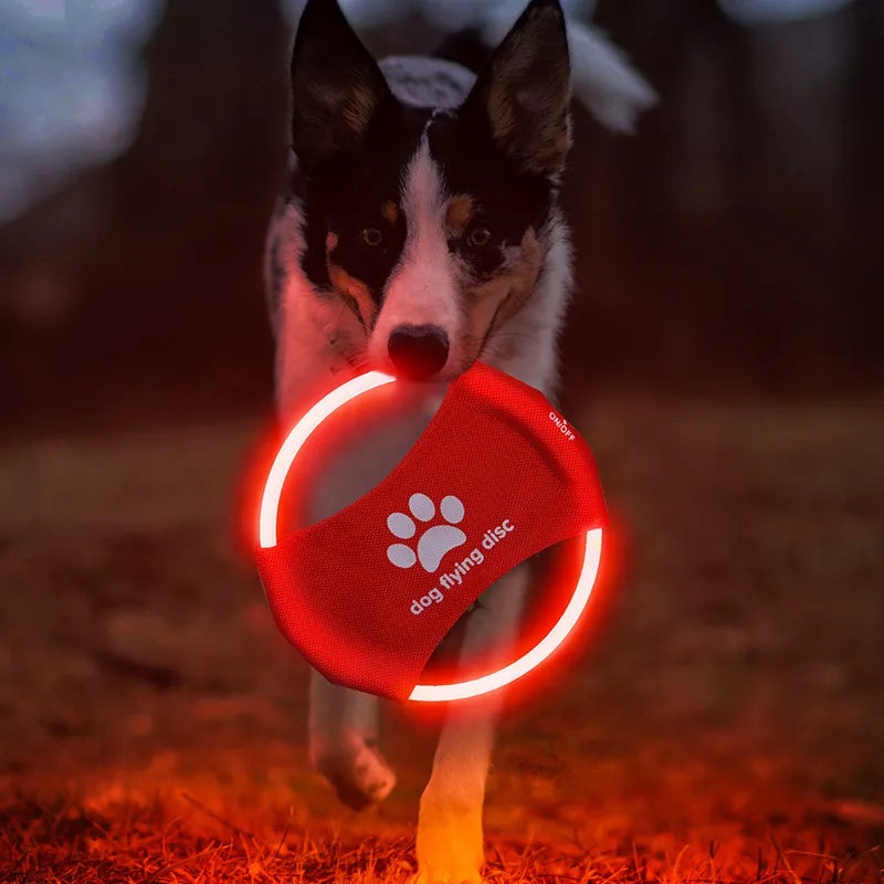 LED Glowing Flying Disc Dog Toy